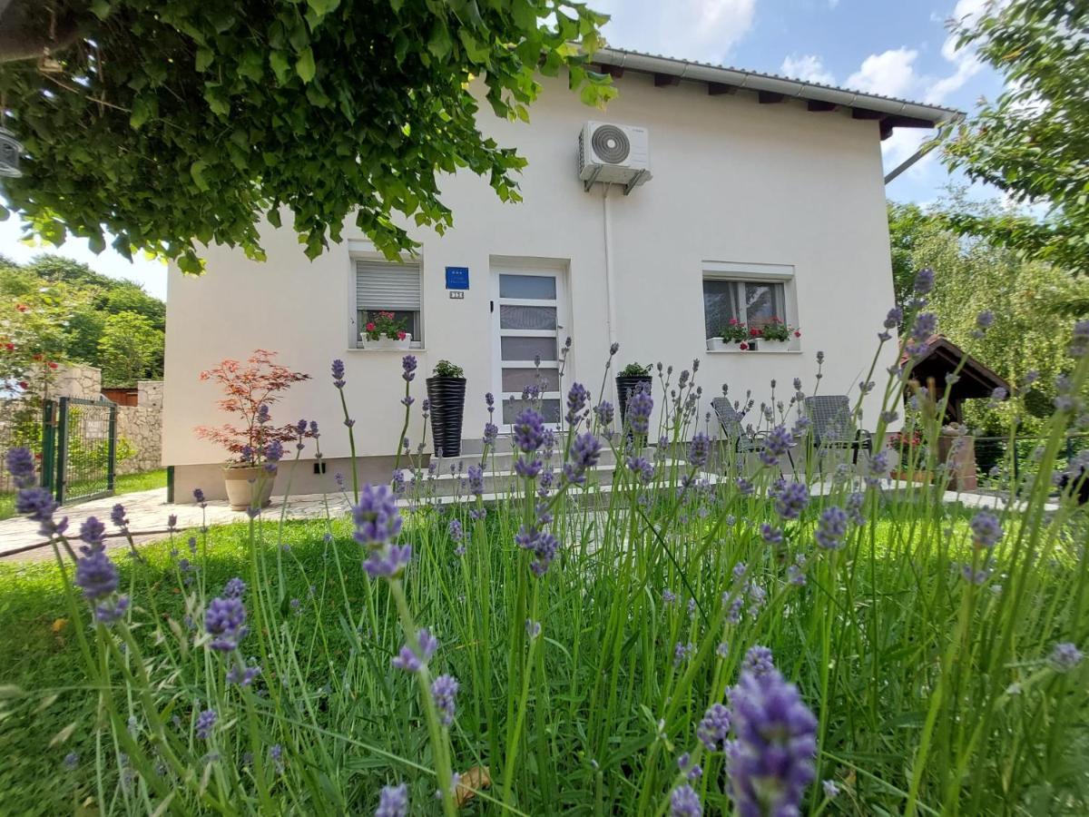 Studio Apartman Marta Korenica Exteriér fotografie