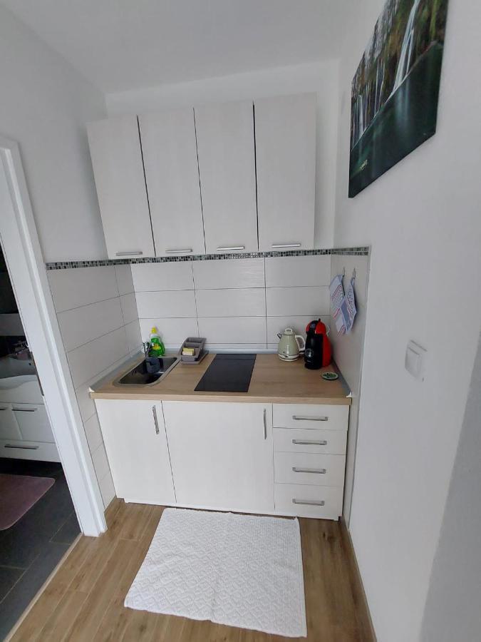 Studio Apartman Marta Korenica Exteriér fotografie